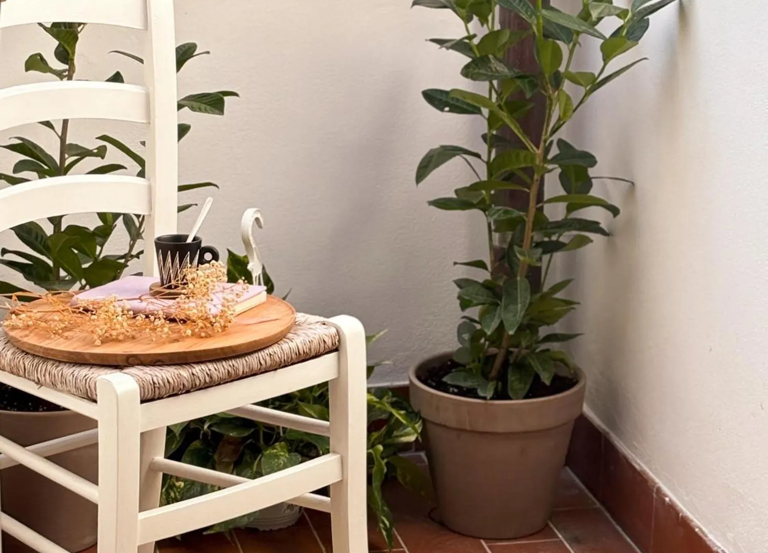Maison Mezzanotte Mansarda Chic In Centro Con Parcheggio Privato Ravenna İtalya